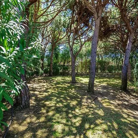 ヴィラ Beautiful Portugal - 4 Bedrooms - Gemstone - Private Pool And Bbq - アルマンシル