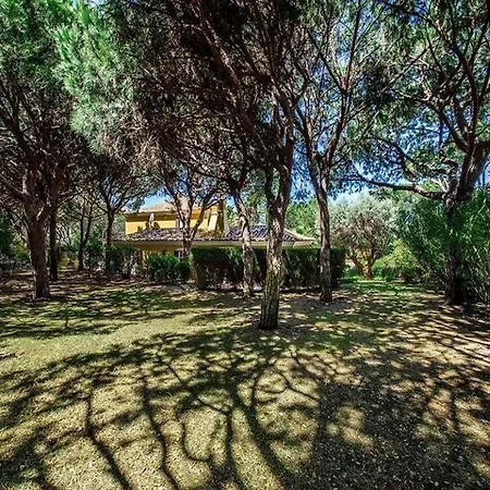 Beautiful Portugal - 4 Bedrooms - Gemstone - Private Pool And Bbq - ヴィラ アルマンシル